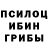 Галлюциногенные грибы Psilocybe Beibit Berqenov