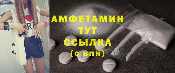 шишки Аркадак