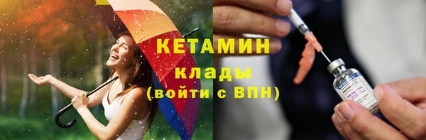 шишки Аркадак