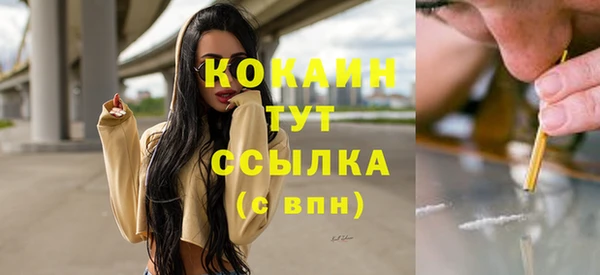 прущая мука Арсеньев