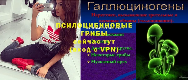 шишки Аркадак