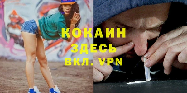 шишки Аркадак